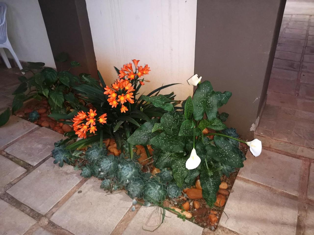 Aaa Rose Garden Guesthouse Mookgophong 外观 照片